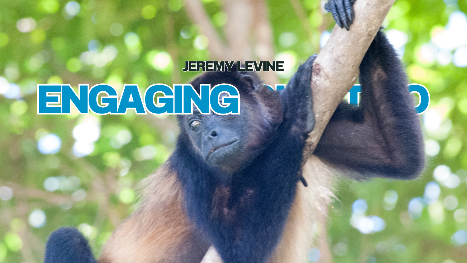 More On Howler Monkey Rescues