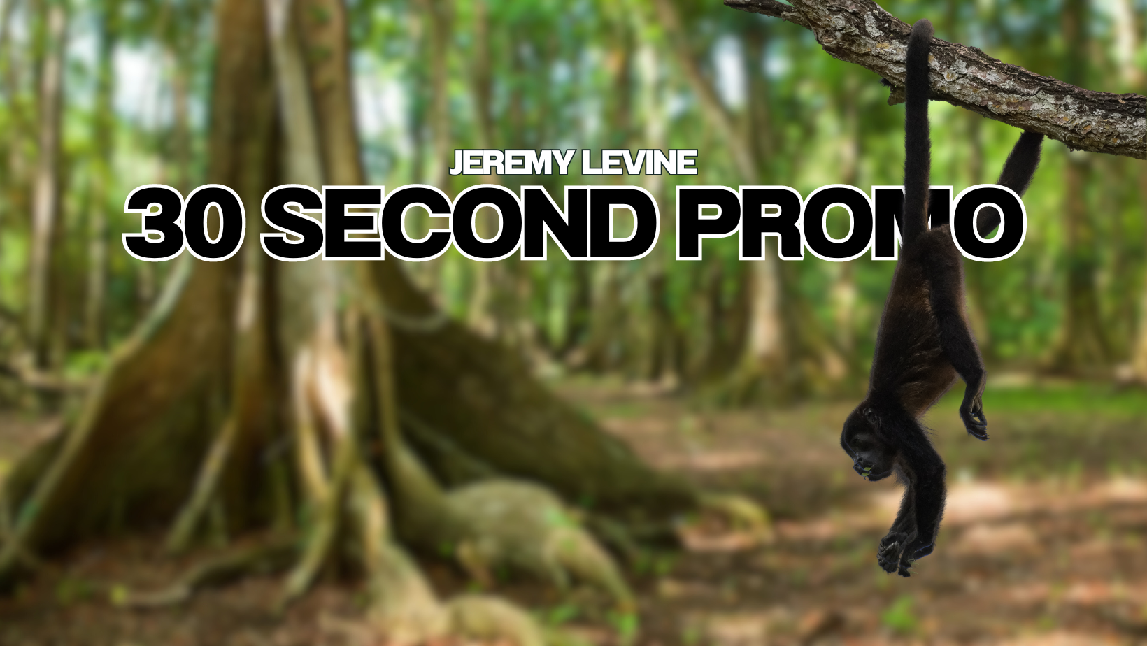 30 Second Promo | Jeremy Levine