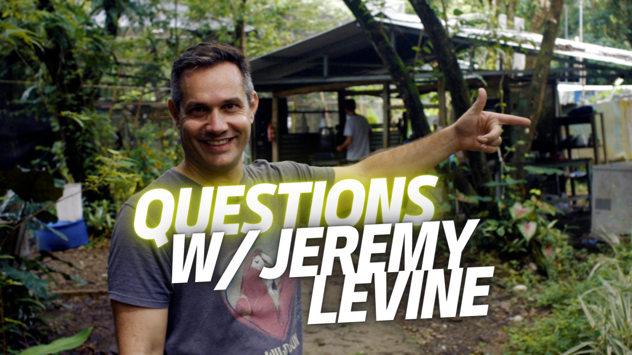 Q&A | How Long Are The Howler Monkeys At Wild Sun Rescue?