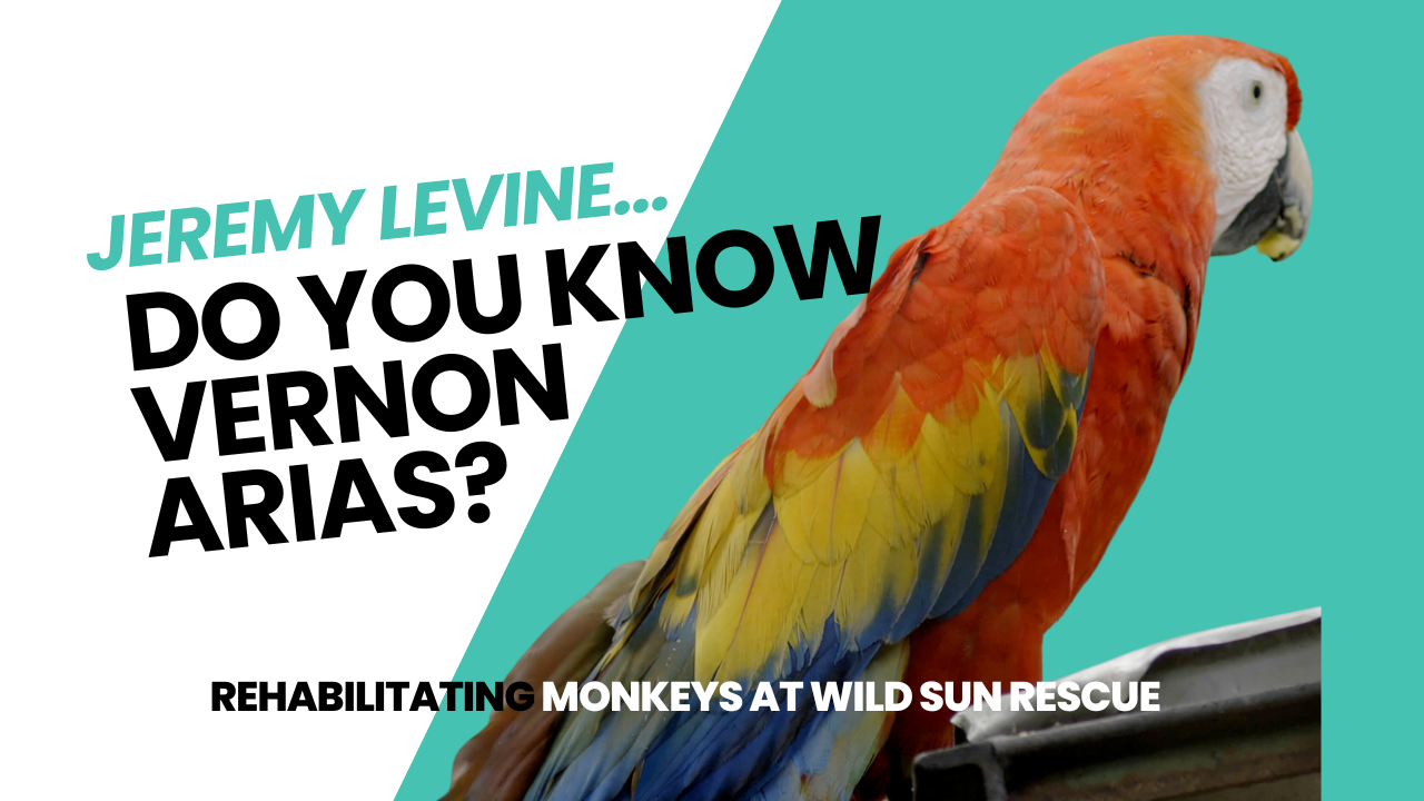 Q&A | Tell Us About Vernon Aria